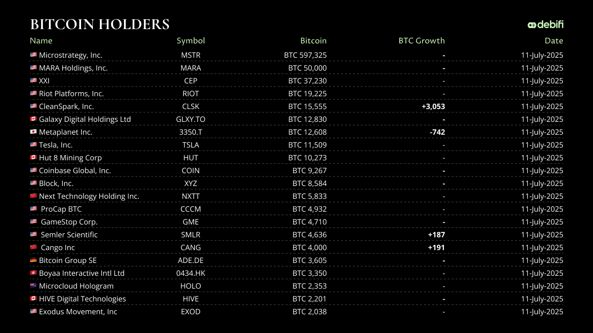 BTC Holdings 11 July 2025